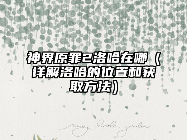 神界原罪2洛哈在哪（详解洛哈的位置和获取方法）