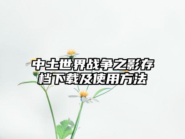 中土世界战争之影存档及使用方法
