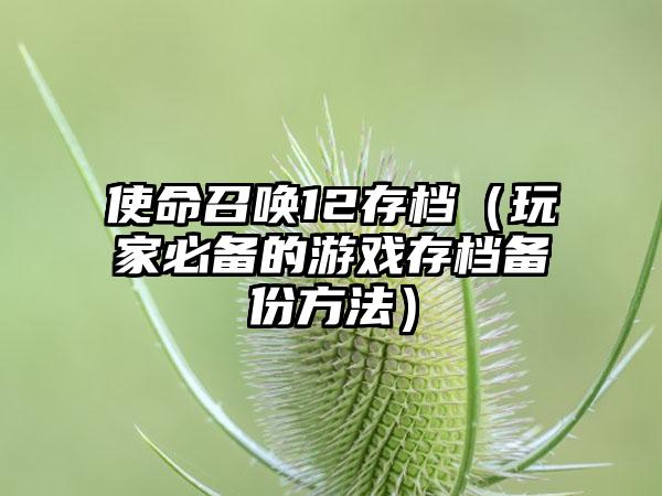 使命召唤12存档（玩家必备的游戏存档备份方法）