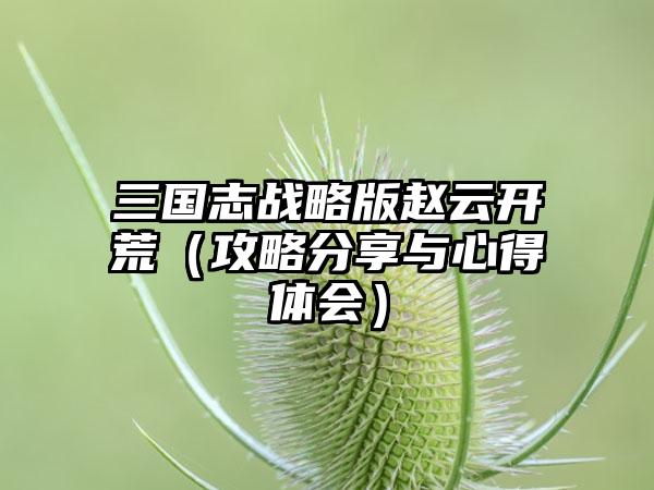 三国志战略版赵云开荒（攻略分享与心得体会）