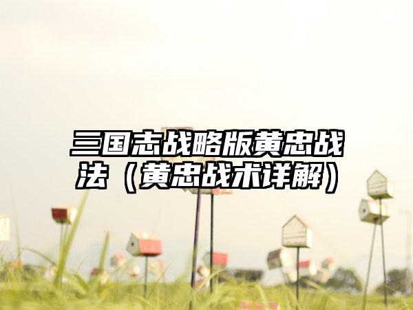 三国志战略版黄忠战法（黄忠战术详解）