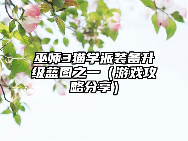 巫师3猫学派装备升级蓝图之一（游戏攻略分享）