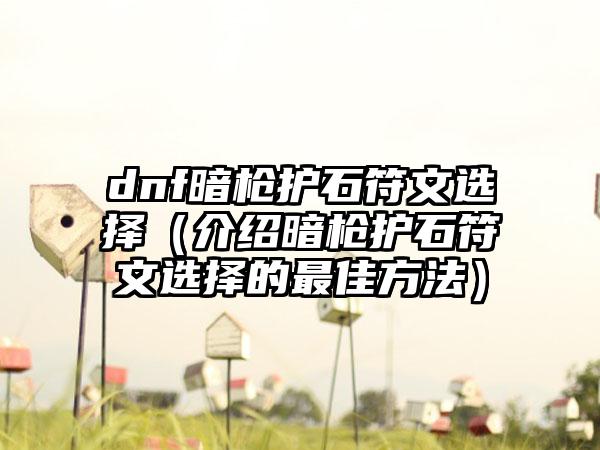 dnf暗枪护石符文选择（介绍暗枪护石符文选择的最佳方法）