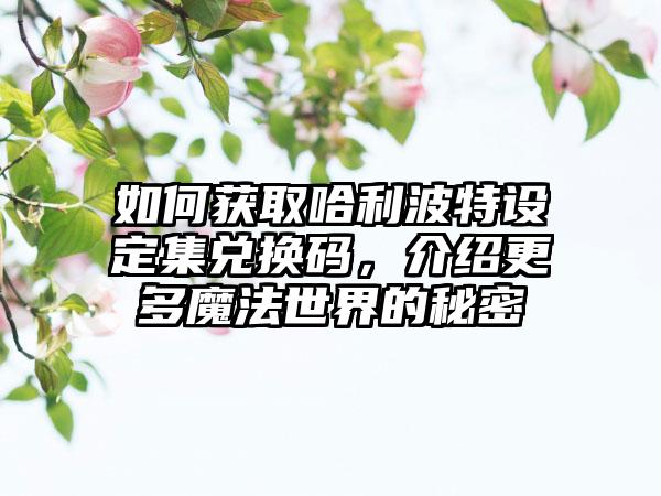 如何获取哈利波特设定集兑换码，介绍更多魔法世界的秘密