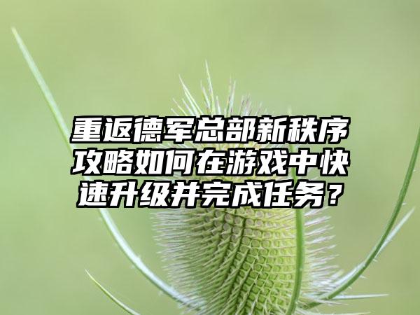 重返德军总部新秩序攻略如何在游戏中快速升级并完成任务？