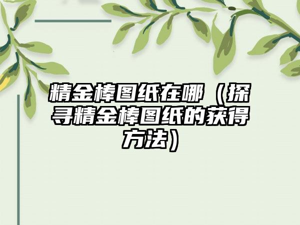 精金棒图纸在哪（探寻精金棒图纸的获得方法）