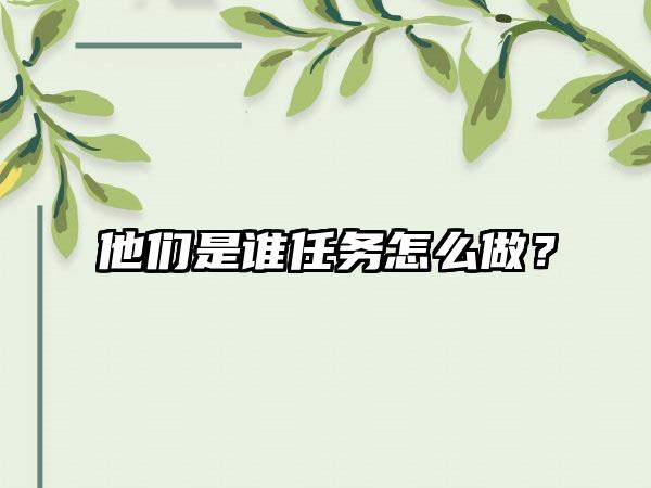他们是谁任务怎么做？