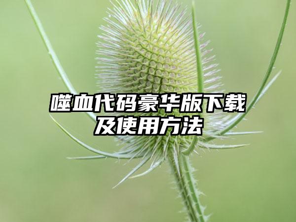 噬血代码豪华版及使用方法