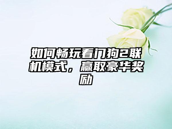 如何畅玩看门狗2联机模式，赢取豪华奖励