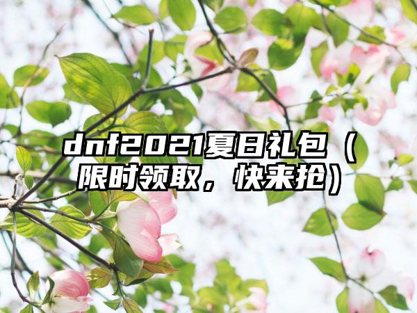 dnf2021夏日礼包（限时领取，快来抢）
