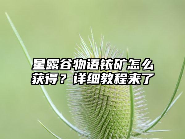 星露谷物语铱矿怎么获得？详细教程来了
