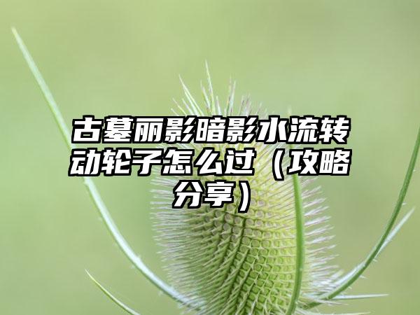 古墓丽影暗影水流转动轮子怎么过（攻略分享）