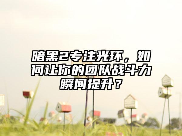 暗黑2专注光环，如何让你的团队战斗力瞬间提升？