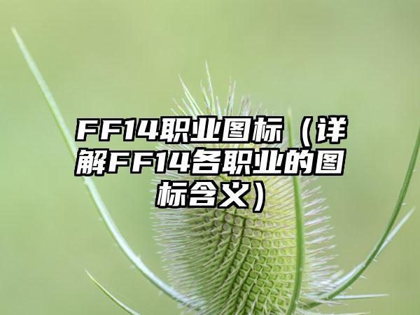 FF14职业图标（详解FF14各职业的图标含义）
