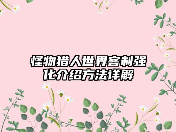 怪物猎人世界客制强化介绍方法详解