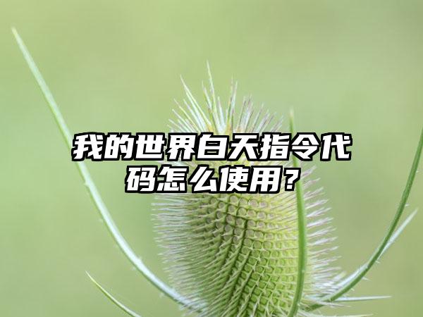 我的世界白天指令代码怎么使用？