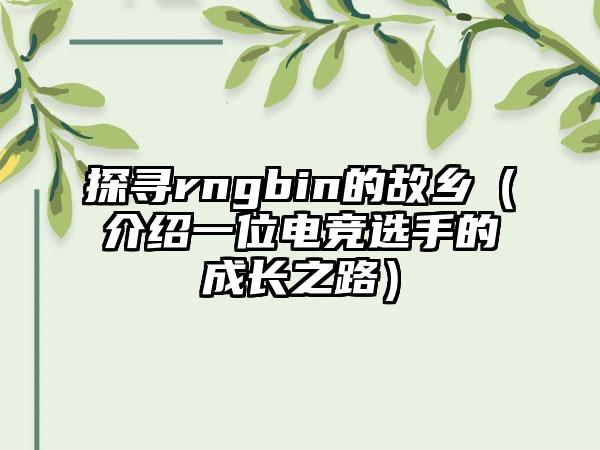 探寻rngbin的故乡（介绍一位电竞选手的成长之路）