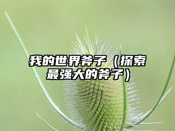 我的世界斧子（探索最强大的斧子）