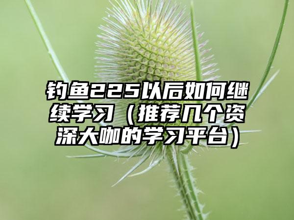 钓鱼225以后如何继续学习（推荐几个资深大咖的学习平台）