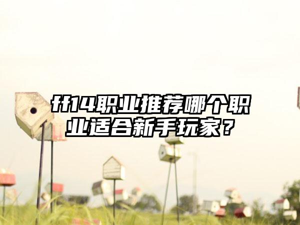 ff14职业推荐哪个职业适合新手玩家？