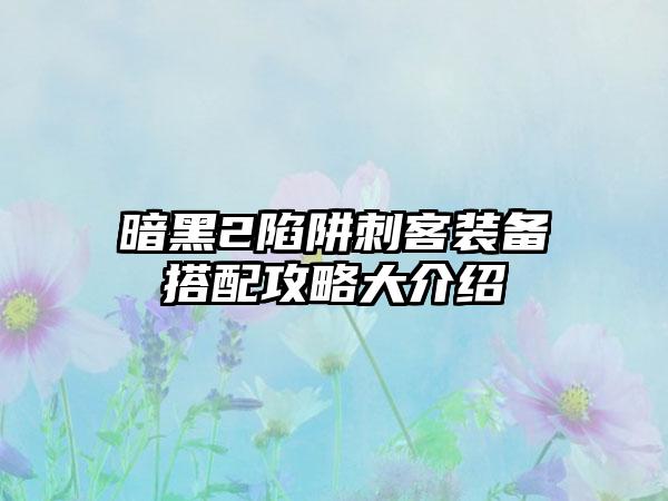 暗黑2陷阱刺客装备搭配攻略大介绍
