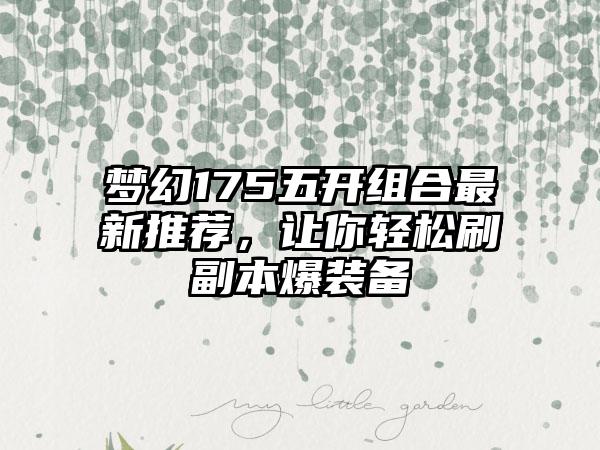 梦幻175五开组合最新推荐，让你轻松刷副本爆装备