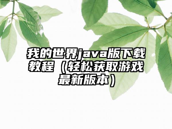 我的世界java版教程（轻松获取游戏最新版本）