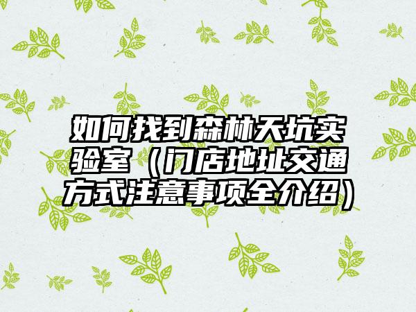 如何找到森林天坑实验室（门店地址交通方式注意事项全介绍）