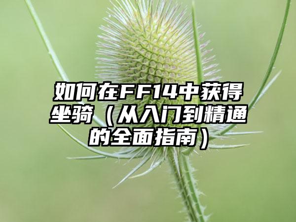 如何在FF14中获得坐骑（从入门到精通的全面指南）