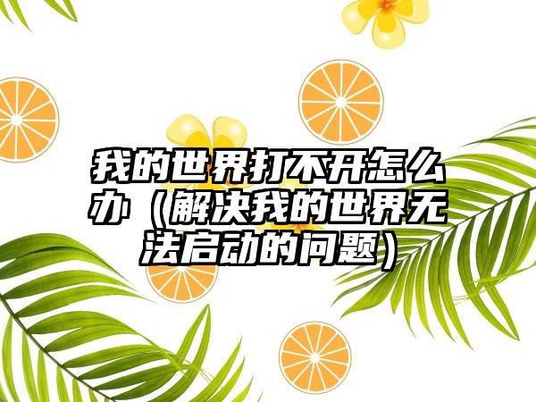 我的世界打不开怎么办（解决我的世界无法启动的问题）