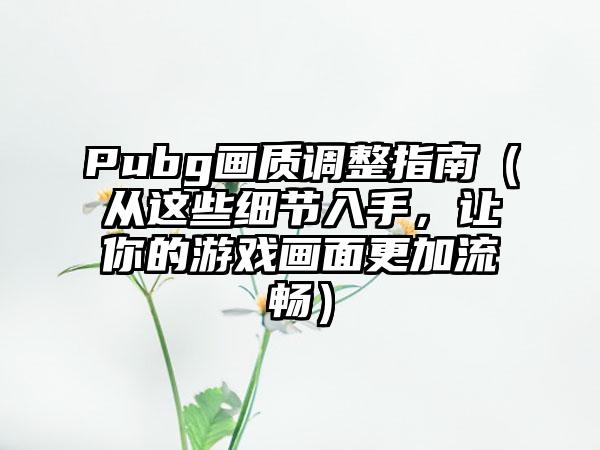 Pubg画质调整指南（从这些细节入手，让你的游戏画面更加流畅）