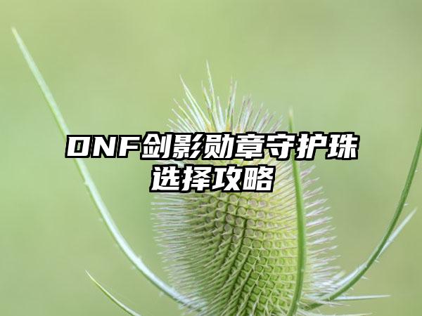 DNF剑影勋章守护珠选择攻略