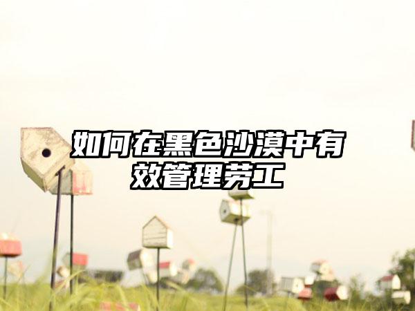 如何在黑色沙漠中有效管理劳工