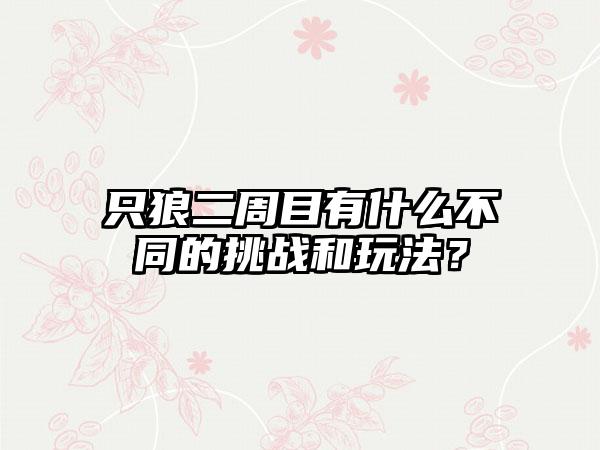 只狼二周目有什么不同的挑战和玩法？
