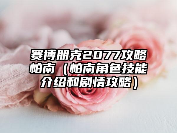 赛博朋克2077攻略帕南（帕南角色技能介绍和剧情攻略）