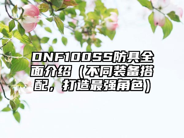 DNF100SS防具全面介绍（不同装备搭配，打造最强角色）