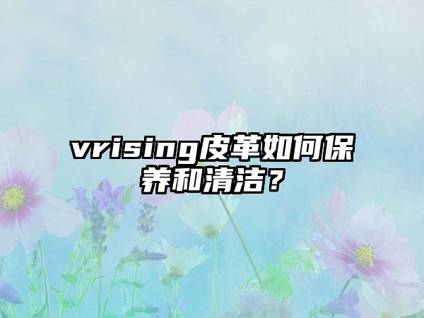 vrising皮革如何保养和清洁？