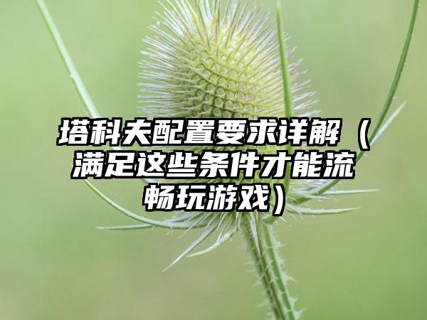 塔科夫配置要求详解（满足这些条件才能流畅玩游戏）