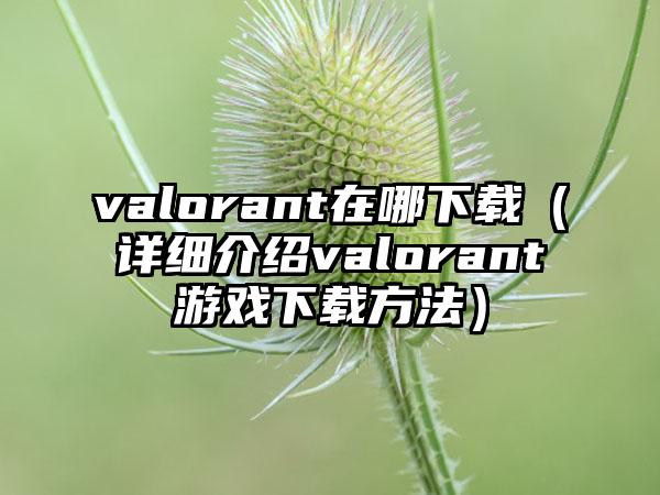 valorant在哪（详细介绍valorant游戏方法）