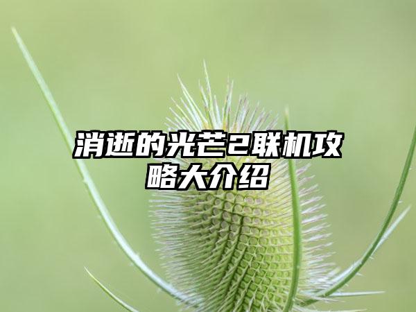 消逝的光芒2联机攻略大介绍