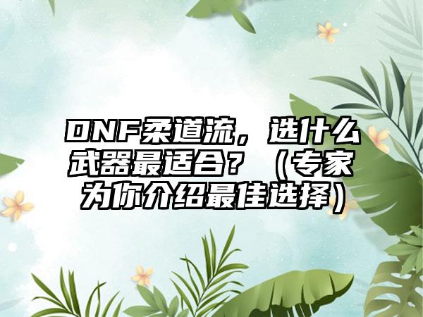 DNF柔道流，选什么武器最适合？（专家为你介绍最佳选择）