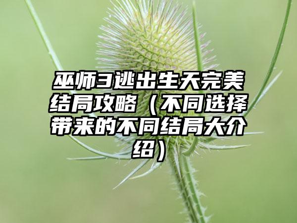 巫师3逃出生天完美结局攻略（不同选择带来的不同结局大介绍）