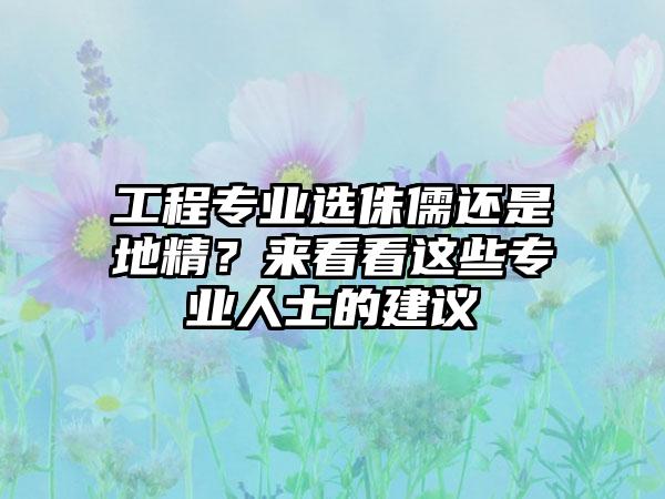 工程专业选侏儒还是地精？来看看这些专业人士的建议