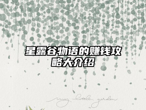 星露谷物语的赚钱攻略大介绍