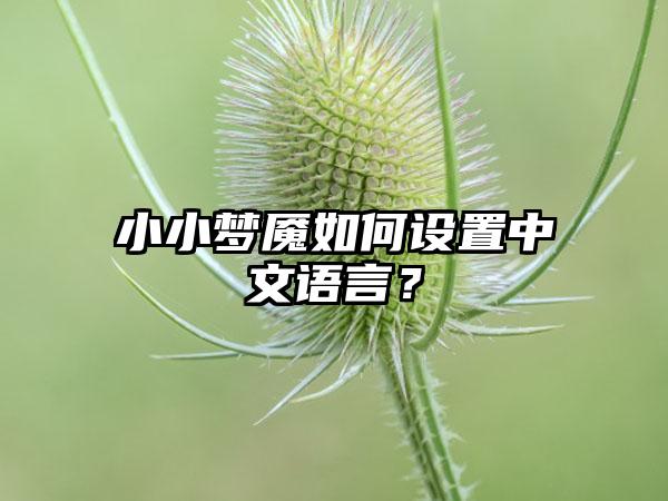 小小梦魇如何设置中文语言？