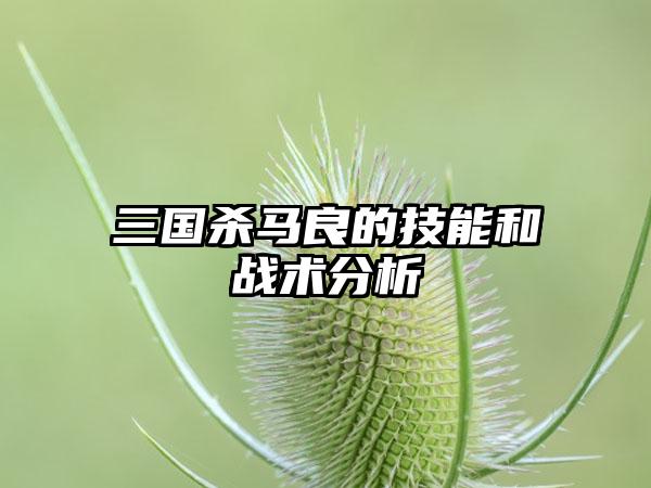 三国杀马良的技能和战术分析