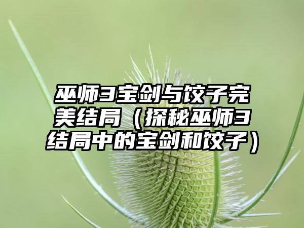 巫师3宝剑与饺子完美结局（探秘巫师3结局中的宝剑和饺子）