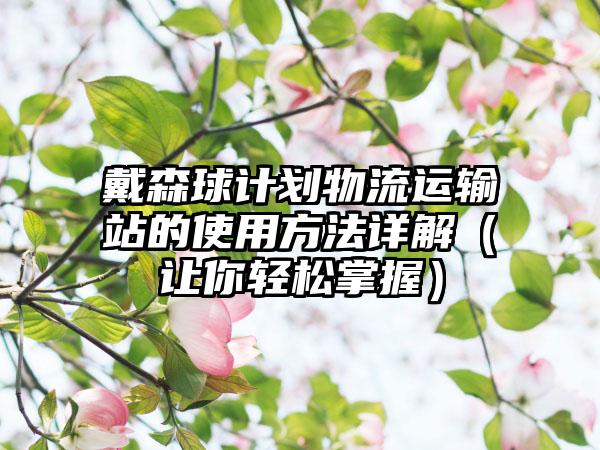 戴森球计划物流运输站的使用方法详解（让你轻松掌握）