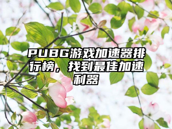 PUBG游戏加速器排行榜，找到最佳加速利器