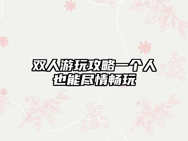 双人游玩攻略一个人也能尽情畅玩